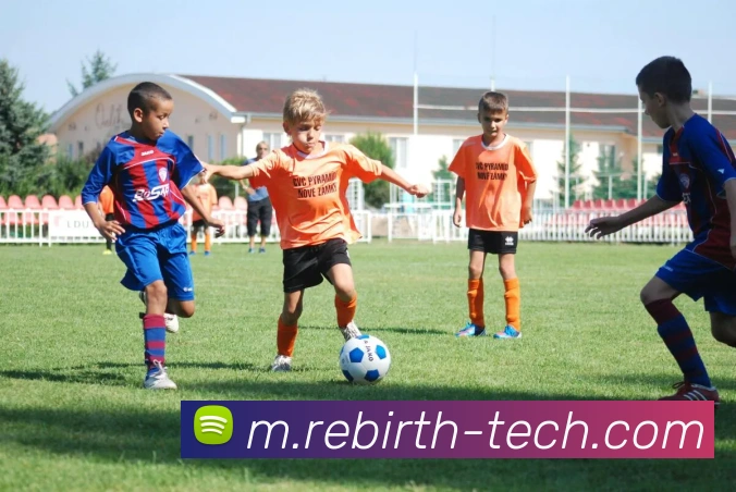 乐鱼体育发展历程